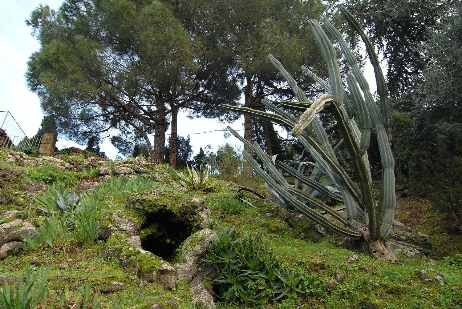 La Dimora Le Fumarole Rooms Ercolano Italie
